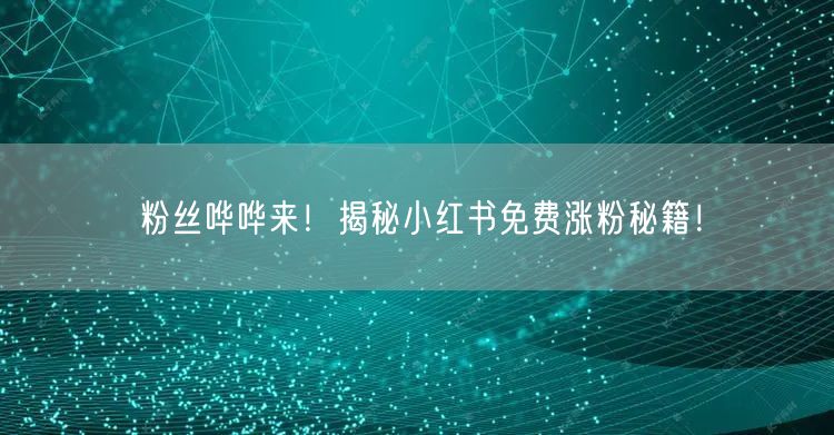 粉丝哗哗来！揭秘小红书免费涨粉秘籍！