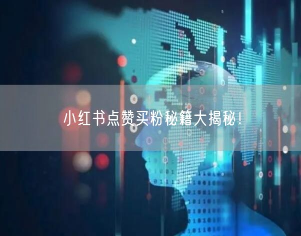 小红书点赞买粉秘籍大揭秘！