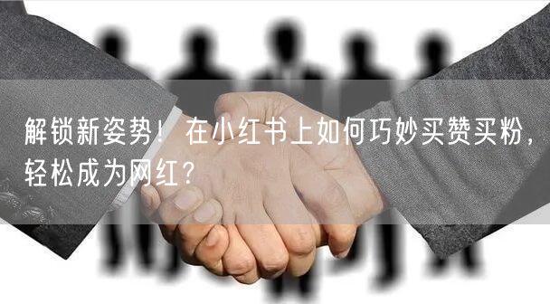解锁新姿势！在小红书上如何巧妙买赞买粉，轻松成为网红？