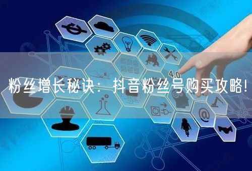 粉丝增长秘诀：抖音粉丝号购买攻略!