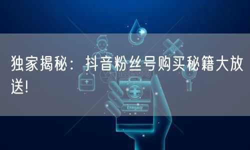 独家揭秘：抖音粉丝号购买秘籍大放送!