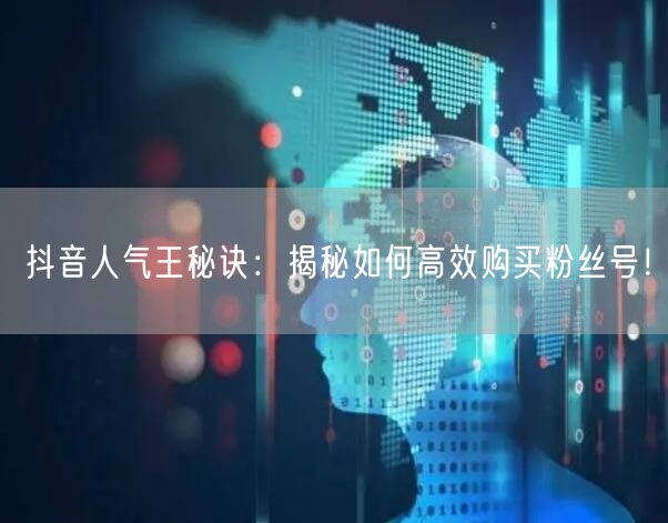 抖音人气王秘诀：揭秘如何高效购买粉丝号！