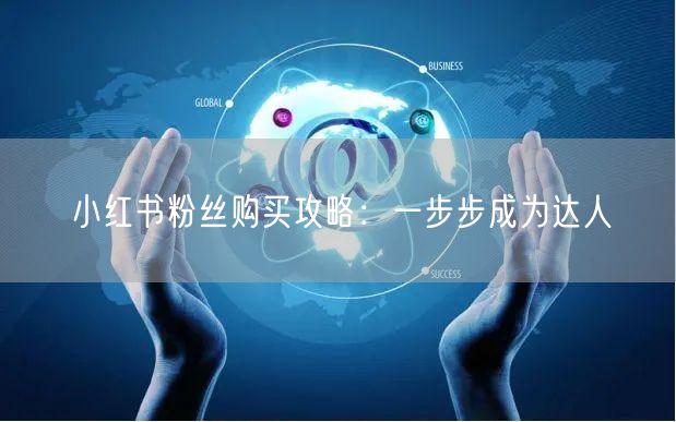 小红书粉丝购买攻略：一步步成为达人
