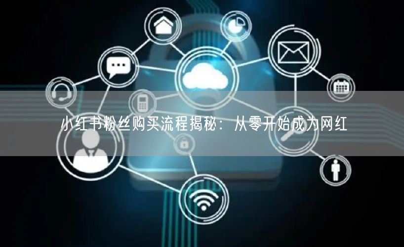 小红书粉丝购买流程揭秘：从零开始成为网红