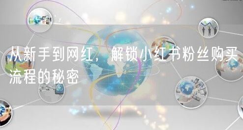 从新手到网红，解锁小红书粉丝购买流程的秘密
