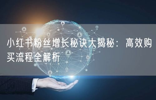 小红书粉丝增长秘诀大揭秘：高效购买流程全解析