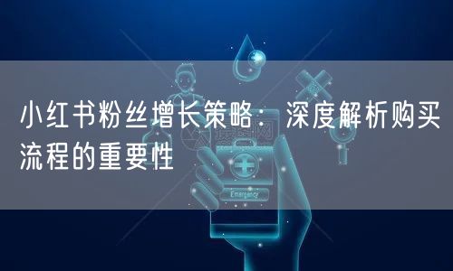 小红书粉丝增长策略：深度解析购买流程的重要性