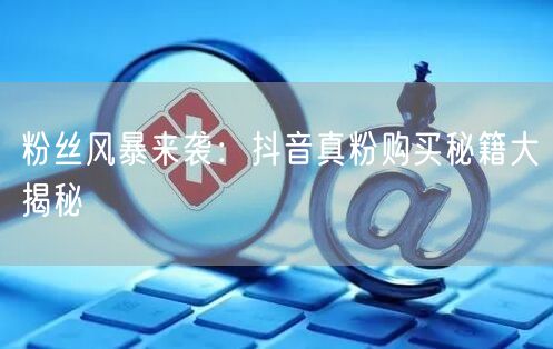 粉丝风暴来袭：抖音真粉购买秘籍大揭秘