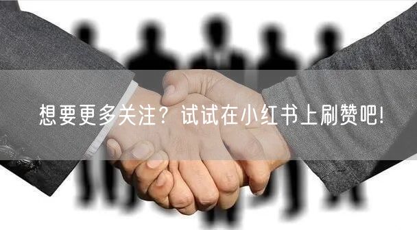想要更多关注？试试在小红书上刷赞吧!