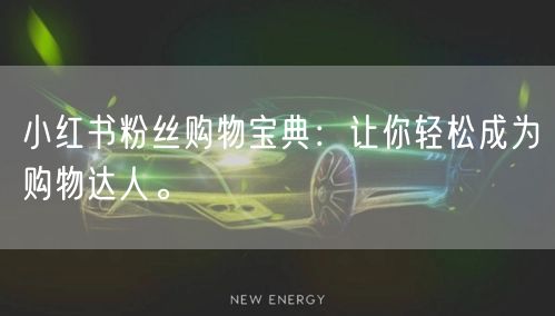 小红书粉丝购物宝典：让你轻松成为购物达人。