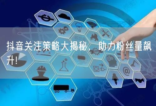 抖音关注策略大揭秘，助力粉丝量飙升!