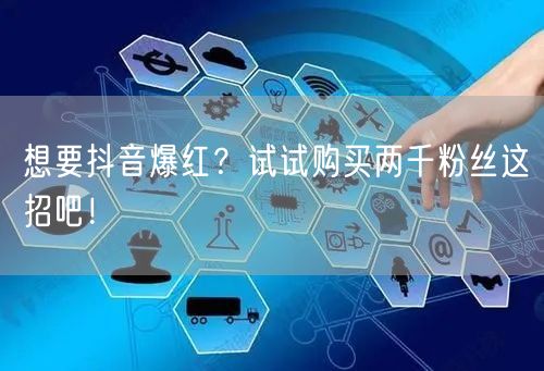 想要抖音爆红？试试购买两千粉丝这招吧！