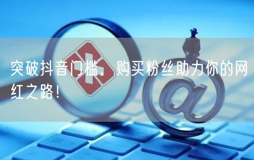 突破抖音门槛，购买粉丝助力你的网红之路！