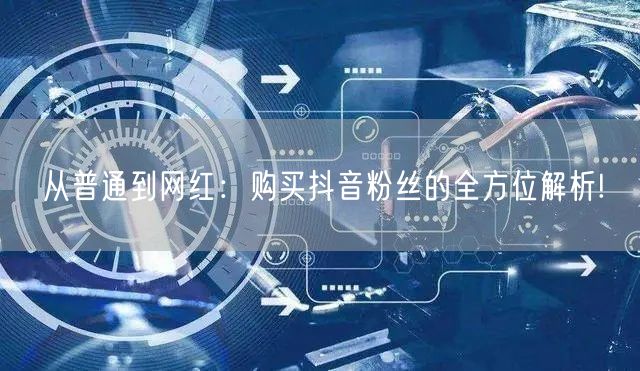 从普通到网红：购买抖音粉丝的全方位解析!