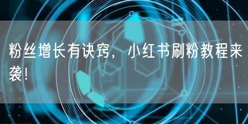 粉丝增长有诀窍，小红书刷粉教程来袭！