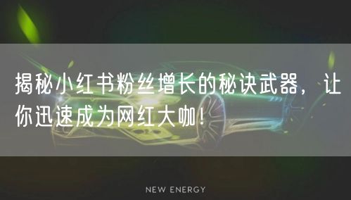 揭秘小红书粉丝增长的秘诀武器，让你迅速成为网红大咖！