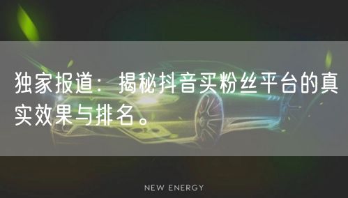 独家报道：揭秘抖音买粉丝平台的真实效果与排名。