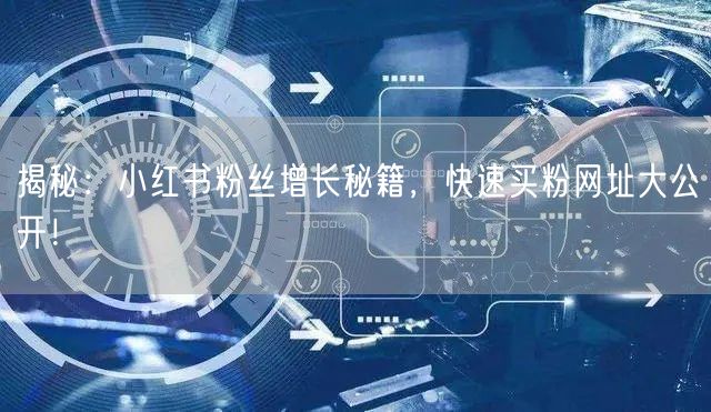 揭秘：小红书粉丝增长秘籍，快速买粉网址大公开！