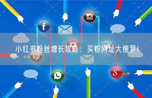 小红书粉丝增长攻略：买粉网址大搜罗！