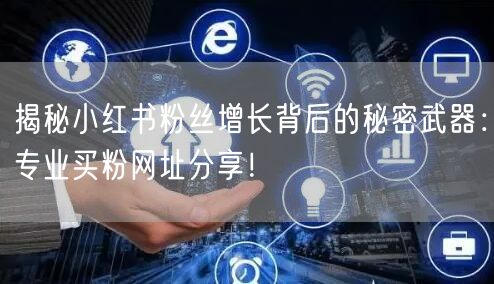 揭秘小红书粉丝增长背后的秘密武器：专业买粉网址分享！