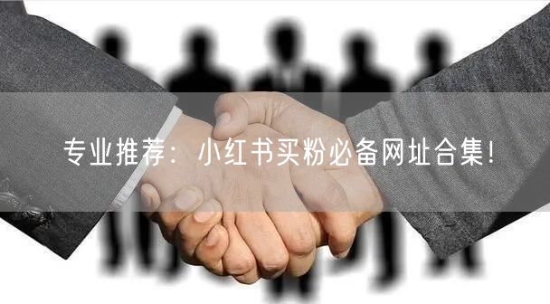 专业推荐：小红书买粉必备网址合集！