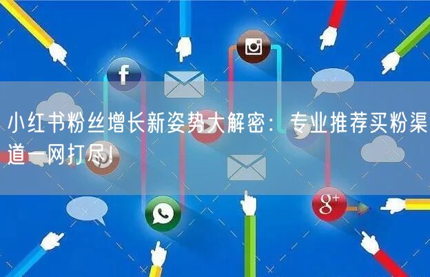 小红书粉丝增长新姿势大解密：专业推荐买粉渠道一网打尽！