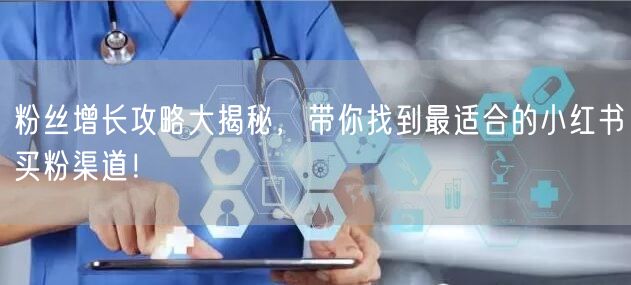 粉丝增长攻略大揭秘，带你找到最适合的小红书买粉渠道！