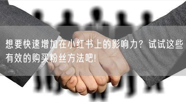 想要快速增加在小红书上的影响力？试试这些有效的购买粉丝方法吧!