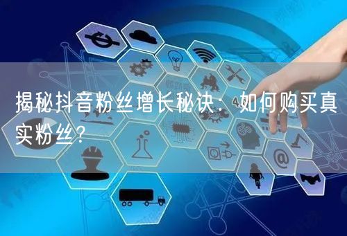 揭秘抖音粉丝增长秘诀：如何购买真实粉丝？