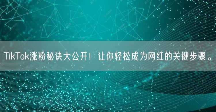 TikTok涨粉秘诀大公开！让你轻松成为网红的关键步骤。