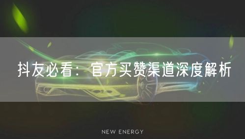 抖友必看：官方买赞渠道深度解析